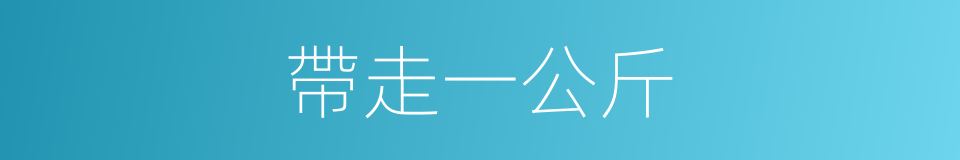 帶走一公斤的同義詞