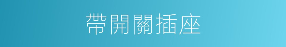 帶開關插座的同義詞