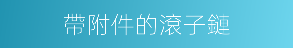 帶附件的滾子鏈的同義詞