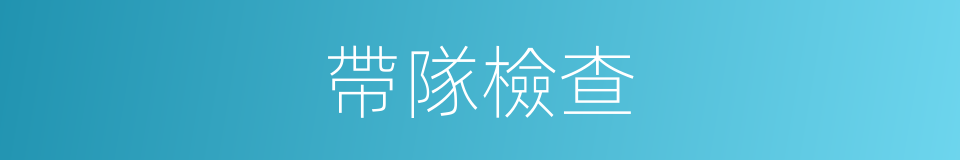 帶隊檢查的同義詞