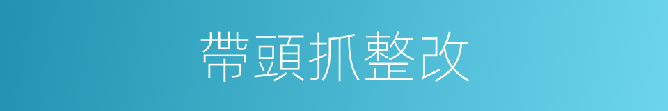 帶頭抓整改的同義詞