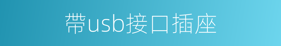 帶usb接口插座的同義詞