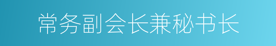 常务副会长兼秘书长的同义词