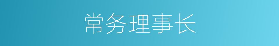 常务理事长的同义词