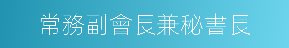 常務副會長兼秘書長的同義詞