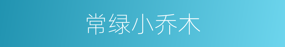 常绿小乔木的同义词