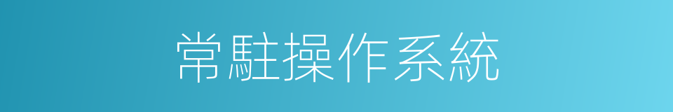 常駐操作系統的同義詞