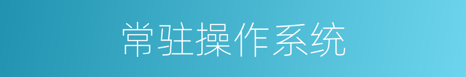 常驻操作系统的同义词