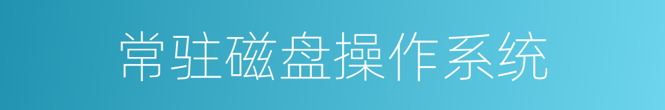 常驻磁盘操作系统的同义词