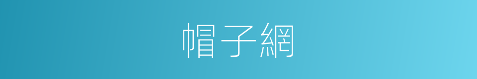 帽子網的同義詞