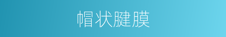 帽状腱膜的同义词