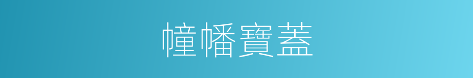 幢幡寶蓋的同義詞