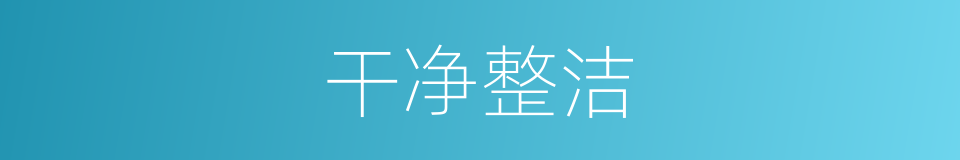 干净整洁的意思