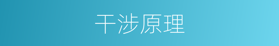 干涉原理的同义词