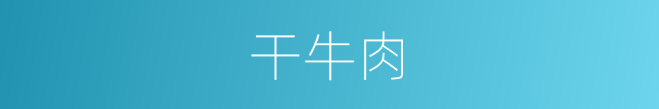 干牛肉的同义词