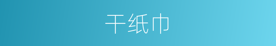 干纸巾的同义词