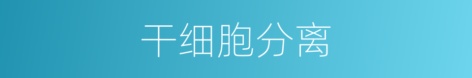 干细胞分离的同义词