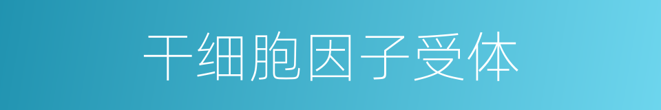 干细胞因子受体的同义词