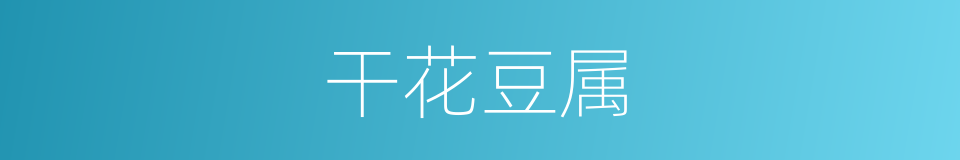 干花豆属的同义词