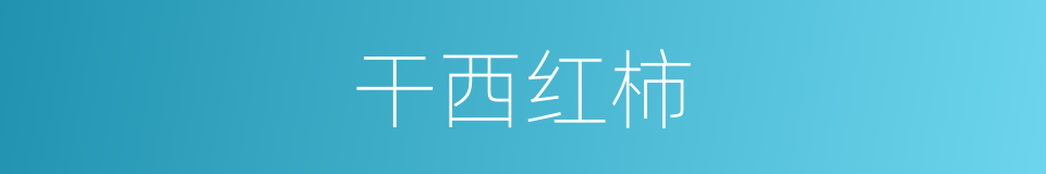 干西红柿的同义词