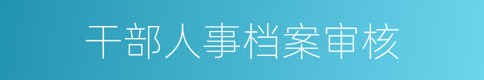 干部人事档案审核的同义词