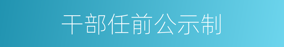 干部任前公示制的同义词