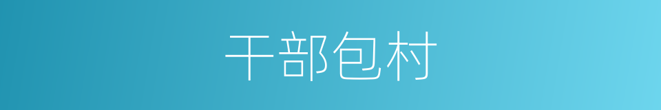 干部包村的同义词