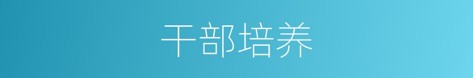干部培养的同义词