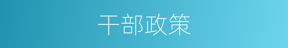 干部政策的同义词