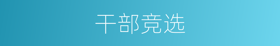 干部竞选的同义词