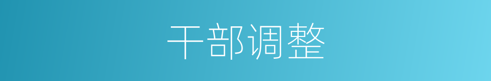 干部调整的同义词