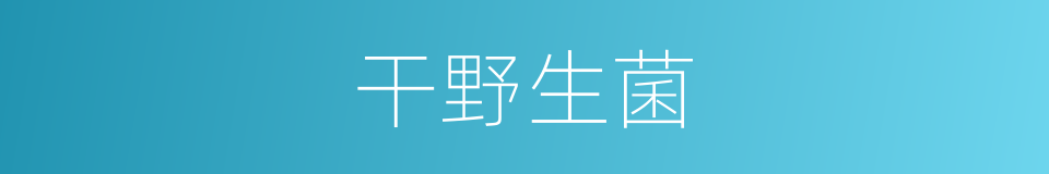 干野生菌的同义词