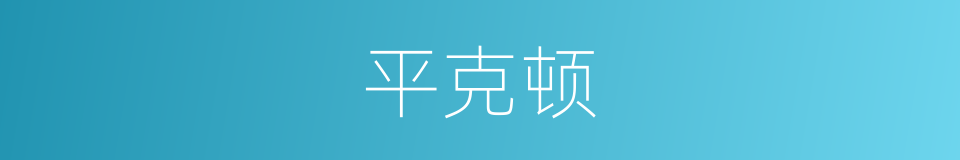 平克顿的同义词
