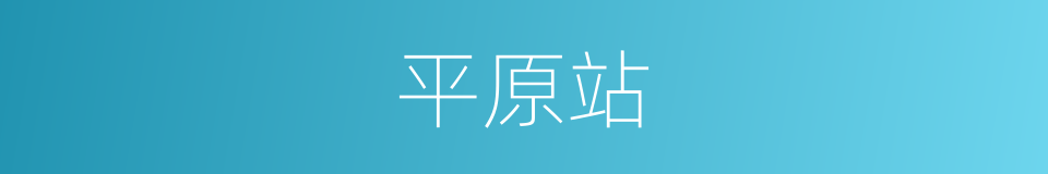 平原站的同义词