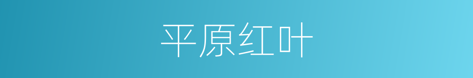 平原红叶的同义词