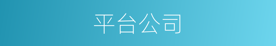 平台公司的同义词