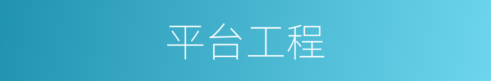 平台工程的同义词