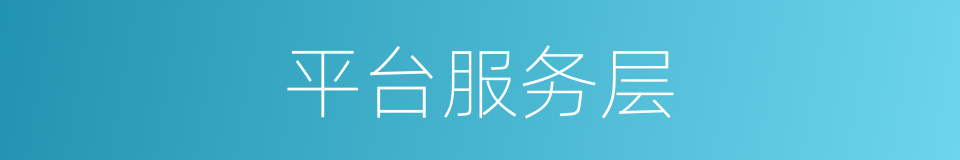 平台服务层的同义词