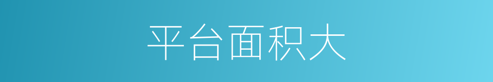 平台面积大的同义词