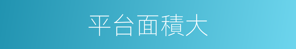 平台面積大的同義詞