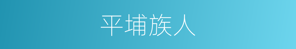 平埔族人的同义词