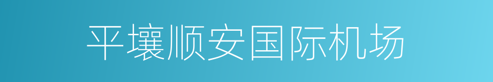 平壤顺安国际机场的同义词