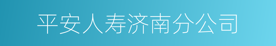 平安人寿济南分公司的同义词