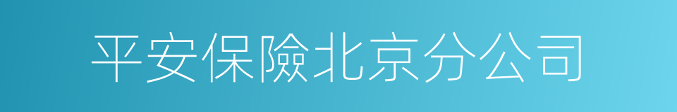 平安保險北京分公司的同義詞