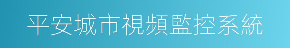 平安城市視頻監控系統的同義詞