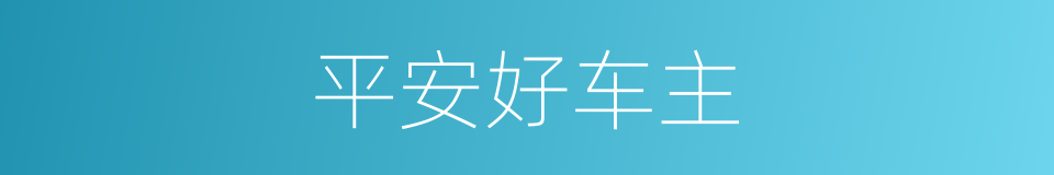 平安好车主的同义词