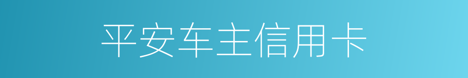 平安车主信用卡的同义词