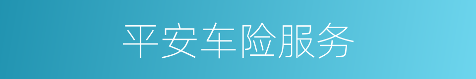 平安车险服务的同义词