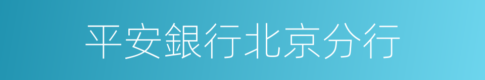 平安銀行北京分行的同義詞