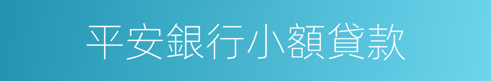 平安銀行小額貸款的同義詞